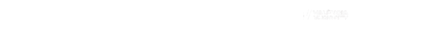 logos-Visor-2026